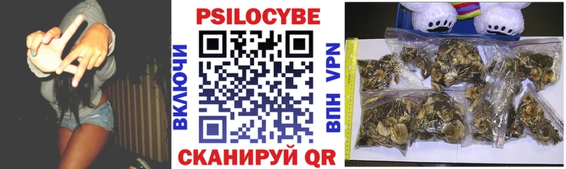 Псилоцибиновые грибы Psilocybe  Купить  Инсар 